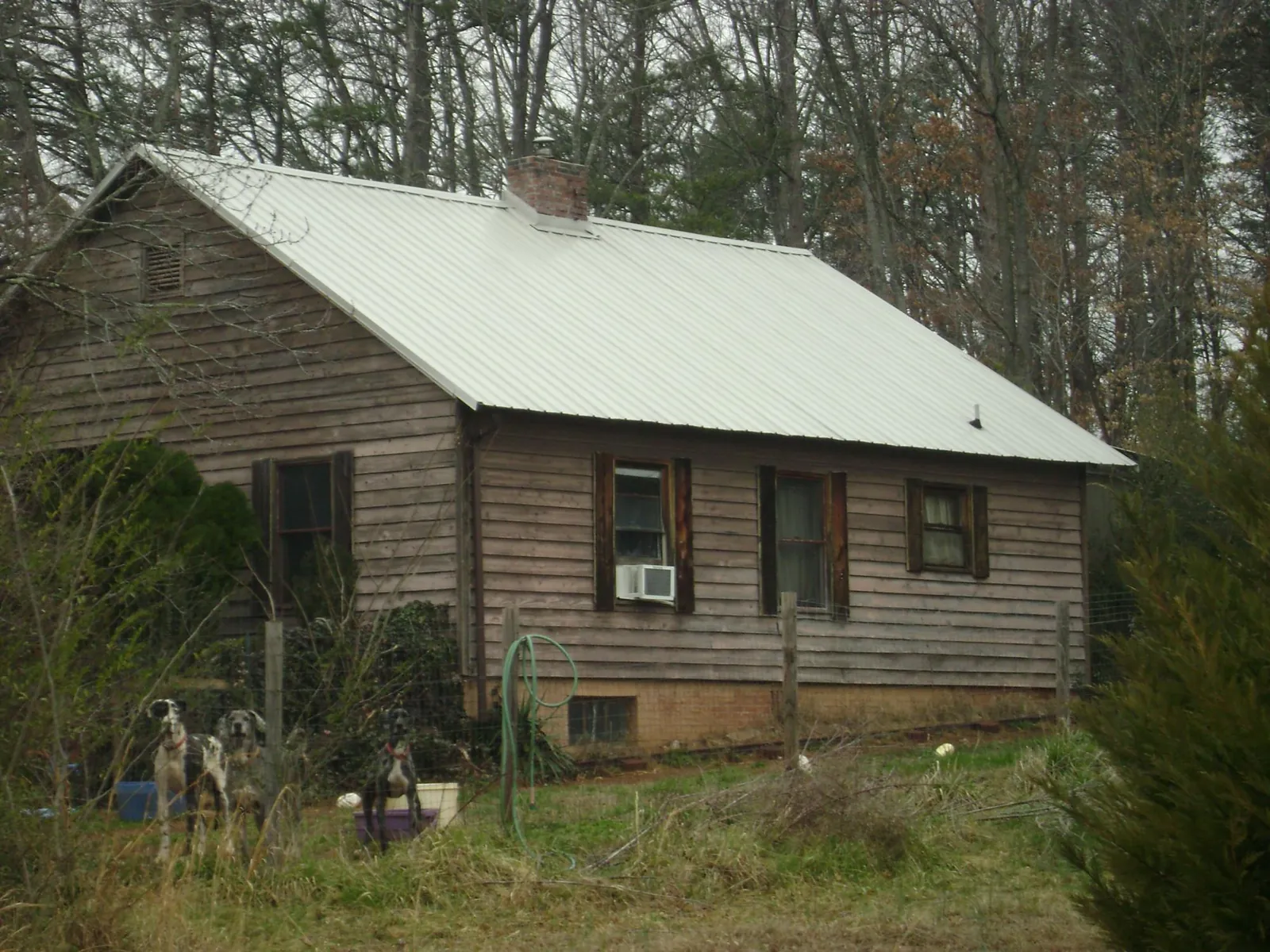 White metal roof on an old wood sided farmhouse, from a Asphalt Shingle Roof Repair job in Saint Marys